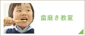 歯磨き教室