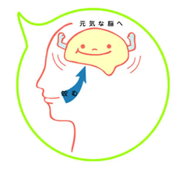 咀嚼の意義5 ─脳細胞の活性化─